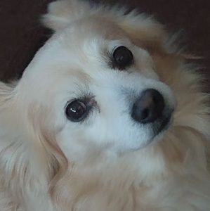 Meet your Posher, Brenda